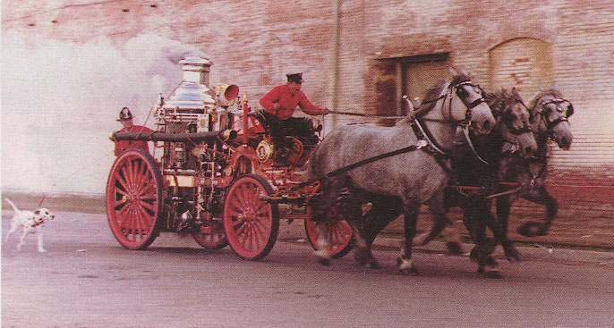 STEAMER with a Dalmatian