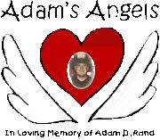 Adam's Angels was created to make a difference in the life of a child who lost a loved one on 9-11.   We have since expanded the program to include a 
