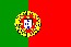 Portuguese Translation - Online 